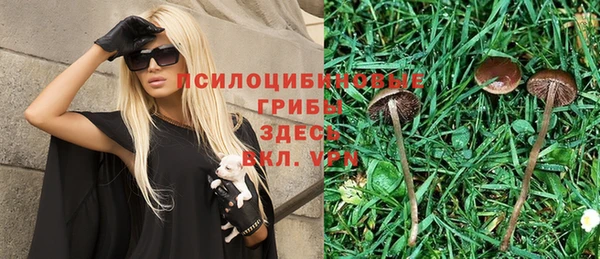 дмт Карпинск
