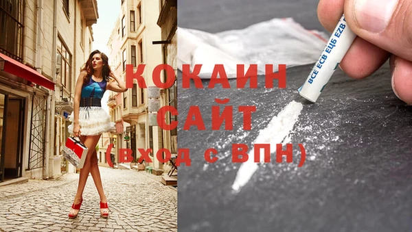 дмт Карпинск