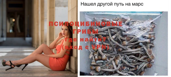 прущие крисы Касимов