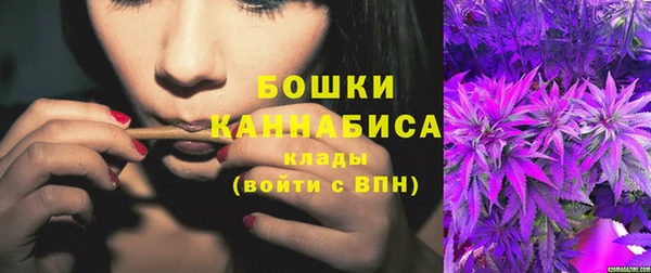 СК Каменногорск