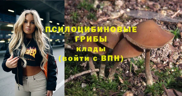 дмт Карпинск
