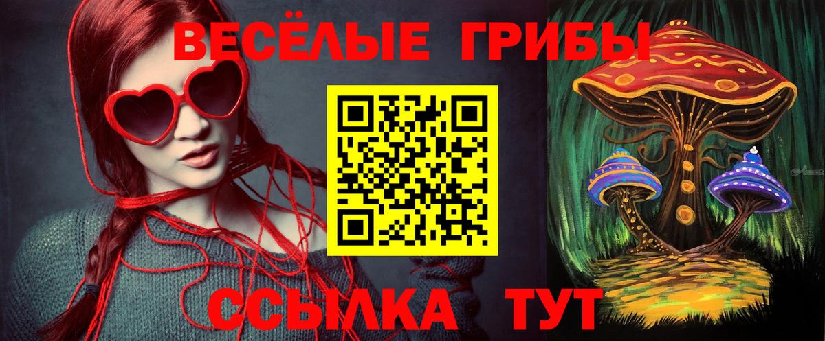 Галлюциногенные грибы мухоморы Лесосибирск
